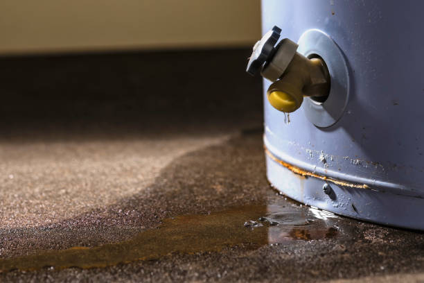 Best Water damage cleanup near me  in Lawnton, PA