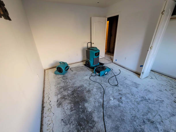 Best 24-hour water damage restoration  in Lawnton, PA