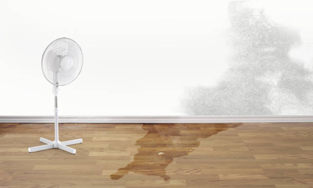 Best Flooded house restoration  in Lawnton, PA