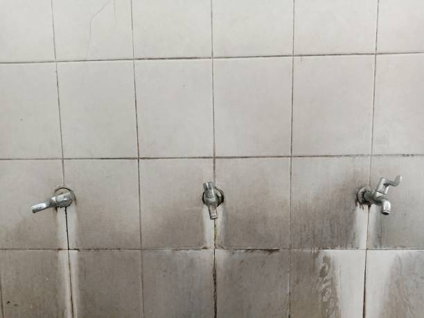 Best Local water damage restoration  in Lawnton, PA