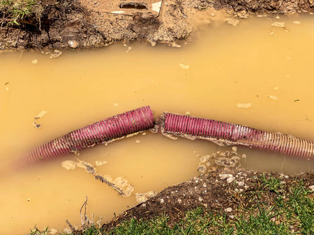 Best Water damage contractors near me  in Lawnton, PA