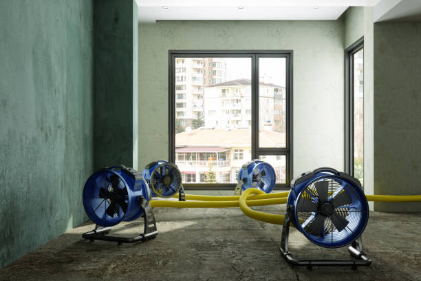 Best Residential water damage restoration  in Lawnton, PA