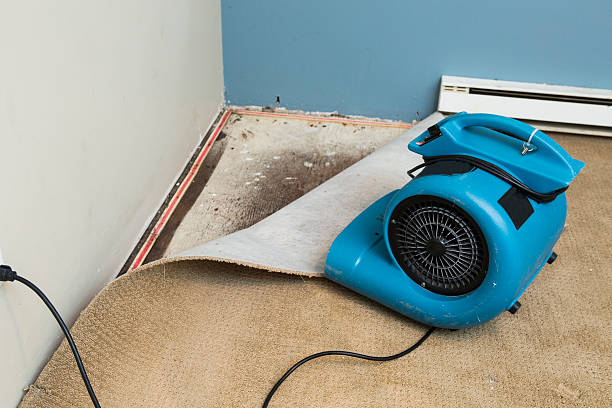 Best Basement water damage restoration  in Lawnton, PA